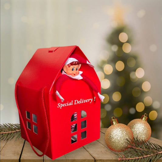 Elf House